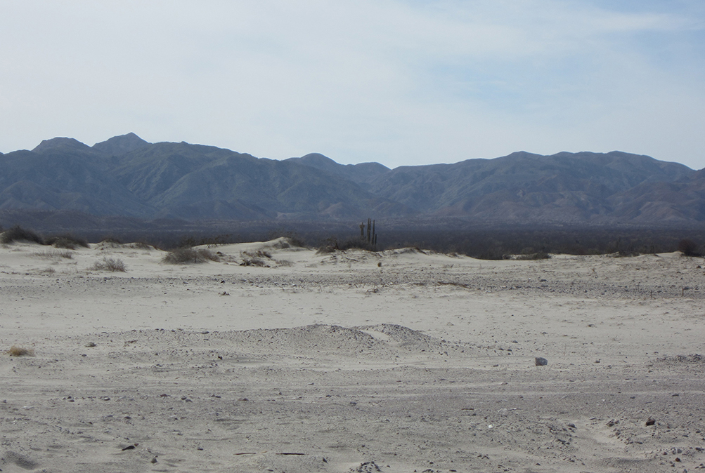 Desierto bajacaliforniano